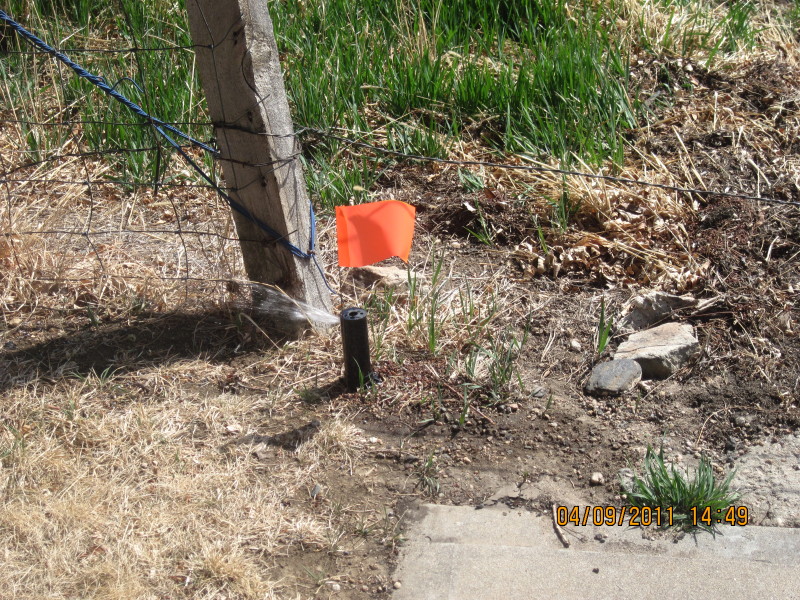 Scaled image img-2092.jpg 