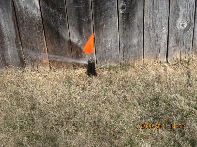 Scaled image img-2102.jpg 