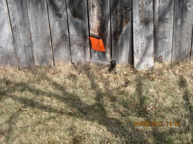 Scaled image img-2103.jpg 