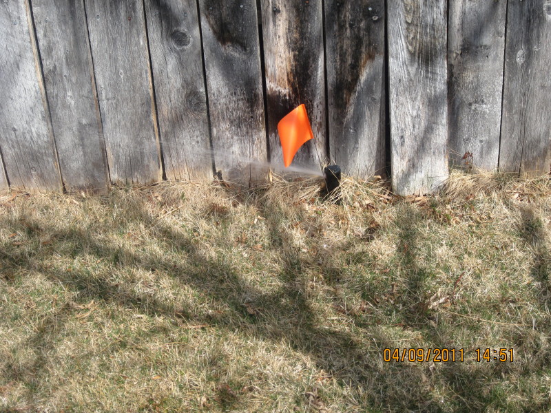 Scaled image img-2104.jpg 