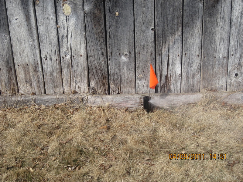 Scaled image img-2106.jpg 