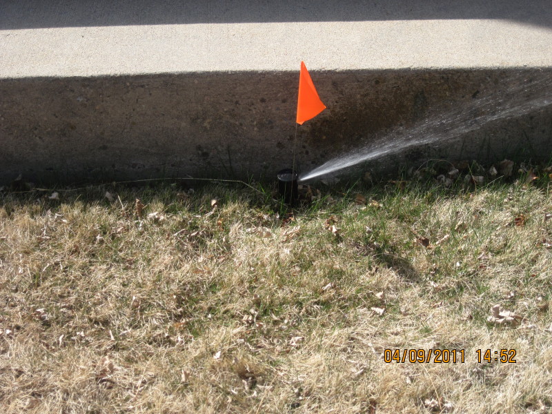Scaled image img-2109.jpg 
