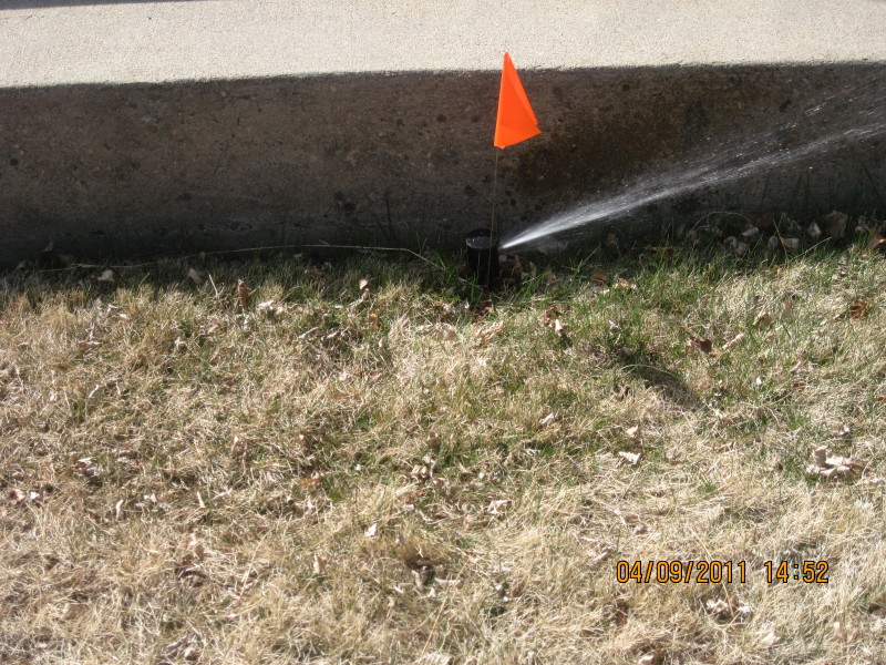 Scaled image img-2110.jpg 