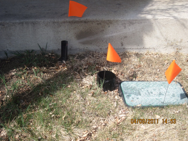 Scaled image img-2112.jpg 