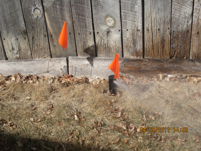 Scaled image img-2115.jpg 