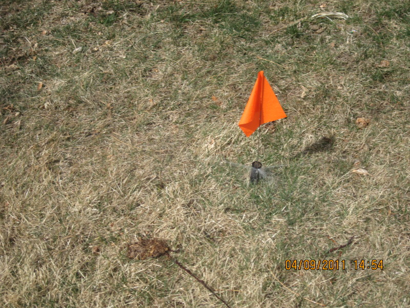 Scaled image img-2121.jpg 