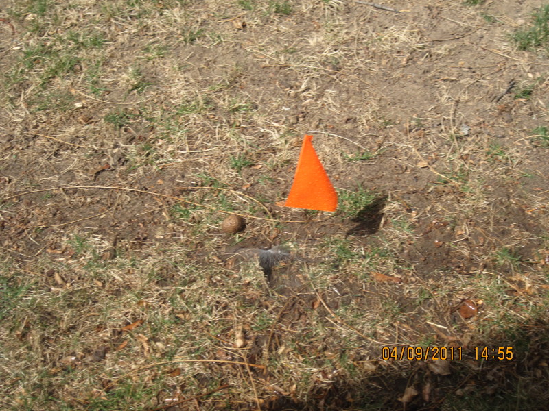 Scaled image img-2122.jpg 