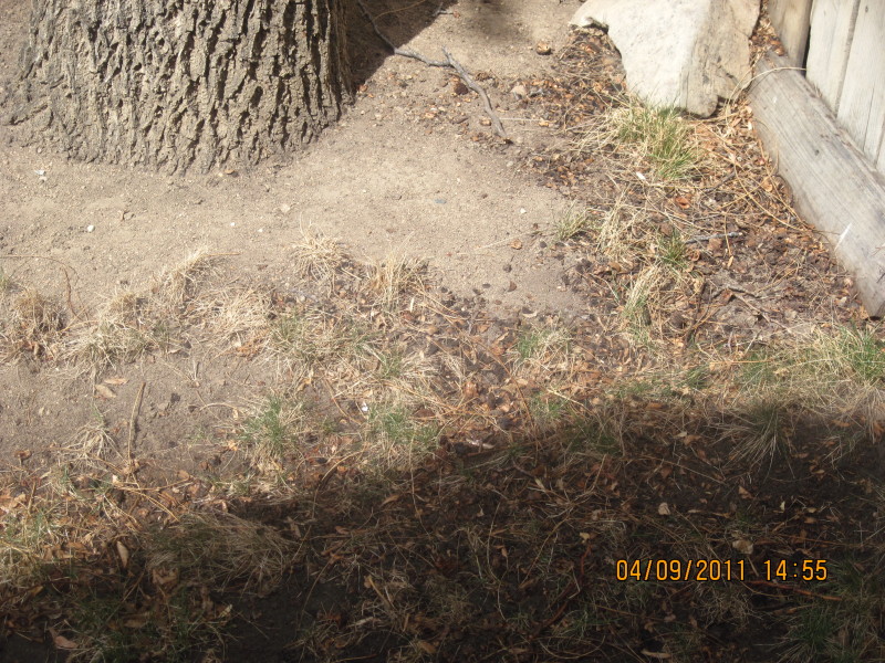 Scaled image img-2123.jpg 