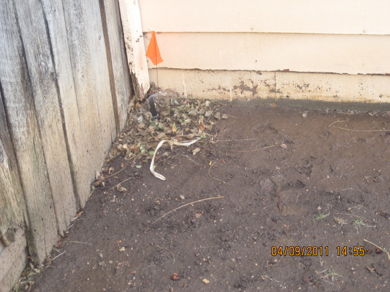 Scaled image img-2124.jpg 