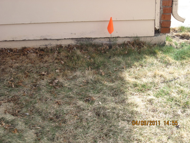 Scaled image img-2126.jpg 