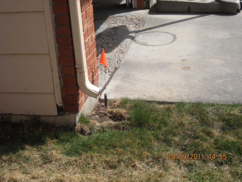 Scaled image img-2127.jpg 