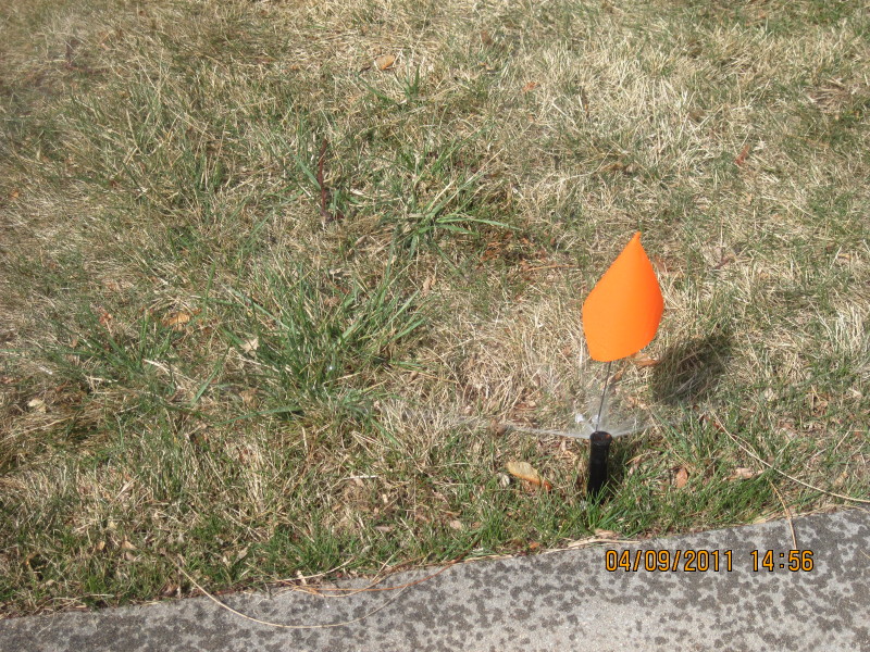 Scaled image img-2129.jpg 