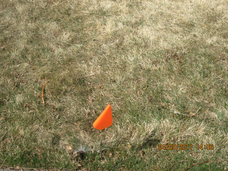 Scaled image img-2130.jpg 