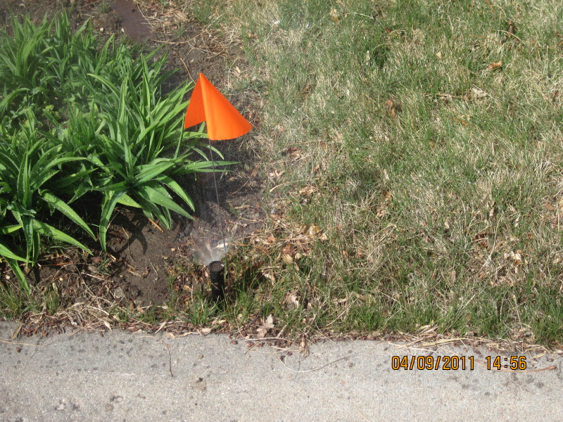 Scaled image img-2131.jpg 