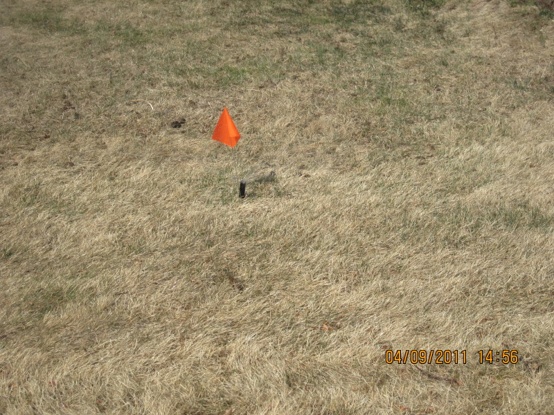 Scaled image img-2133.jpg 
