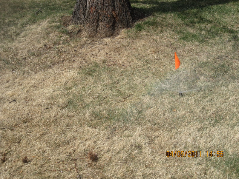 Scaled image img-2134.jpg 