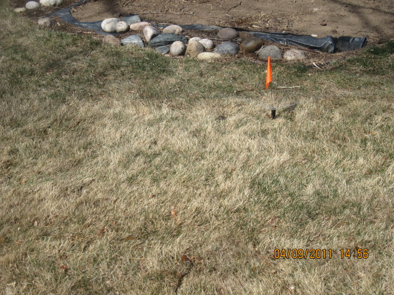 Scaled image img-2135.jpg 