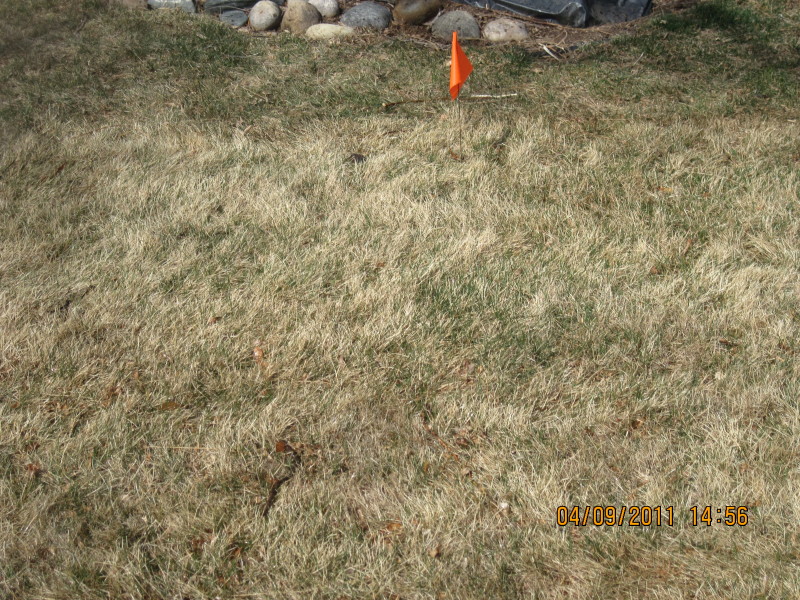 Scaled image img-2136.jpg 