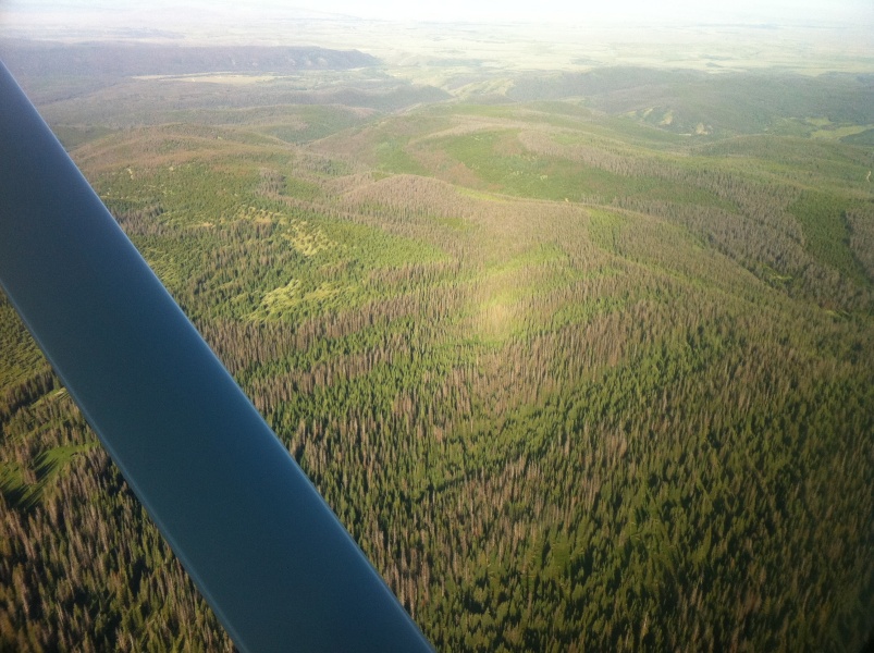 Scaled image Climb on the way to Bozeman_ MT.jpg 