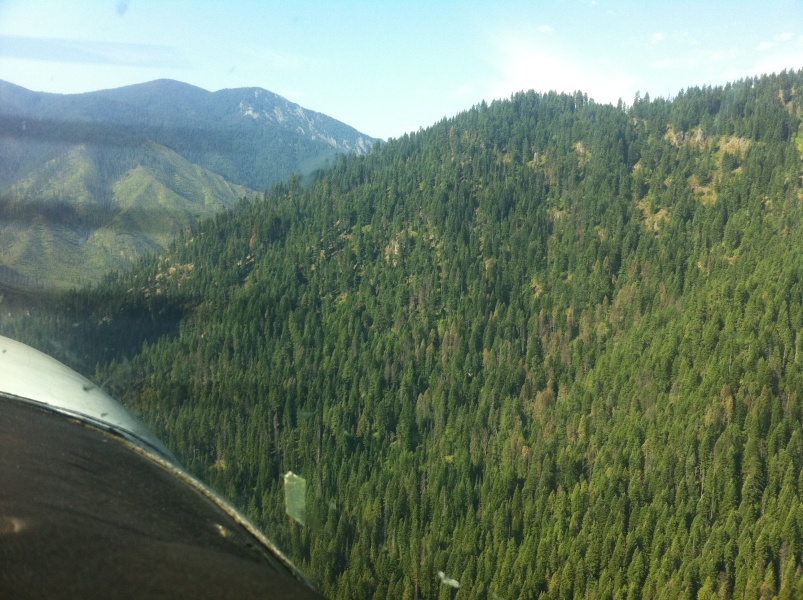 Scaled image Descending below the ridge line on the way to a landing at Moose Creek airstrip.jpg 