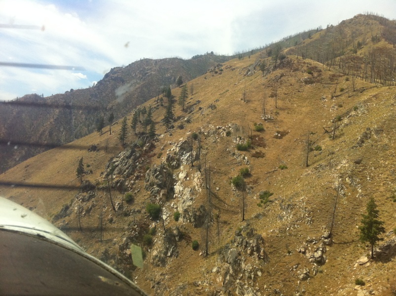 Scaled image Flying Big Creek canyon on towards Bernard USFS and Flying B airstrips.jpg 