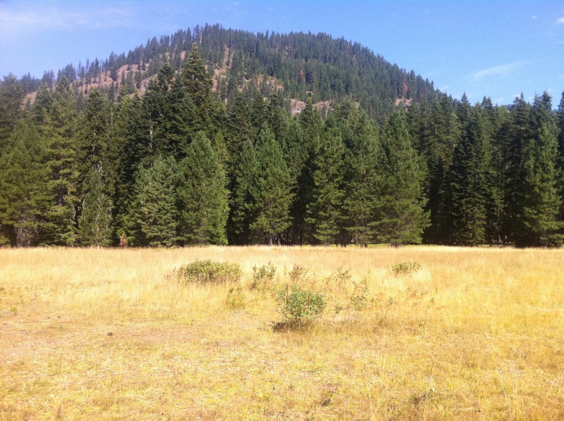 Scaled image Moose Creek clockwise panorama #1.jpg 