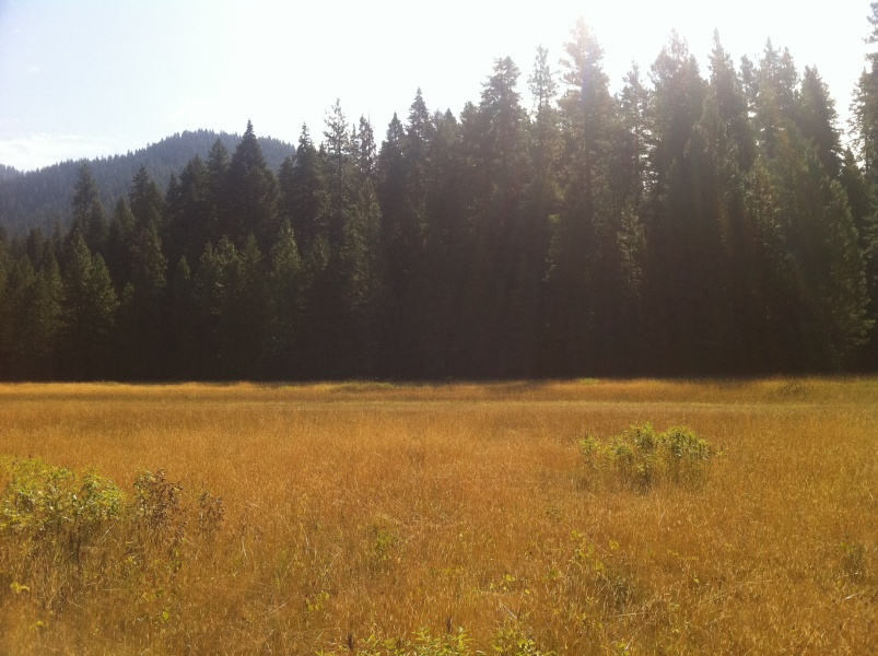 Scaled image Moose Creek clockwise panorama #5.jpg 