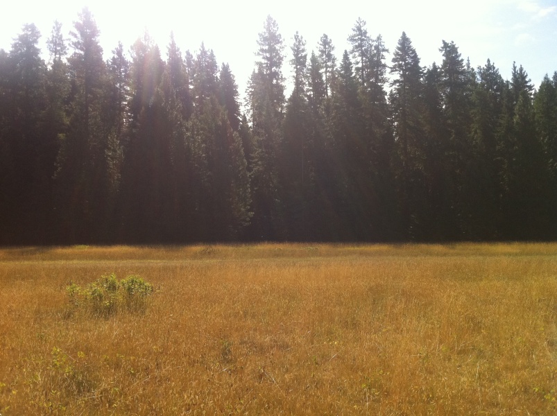 Scaled image Moose Creek clockwise panorama #6.jpg 