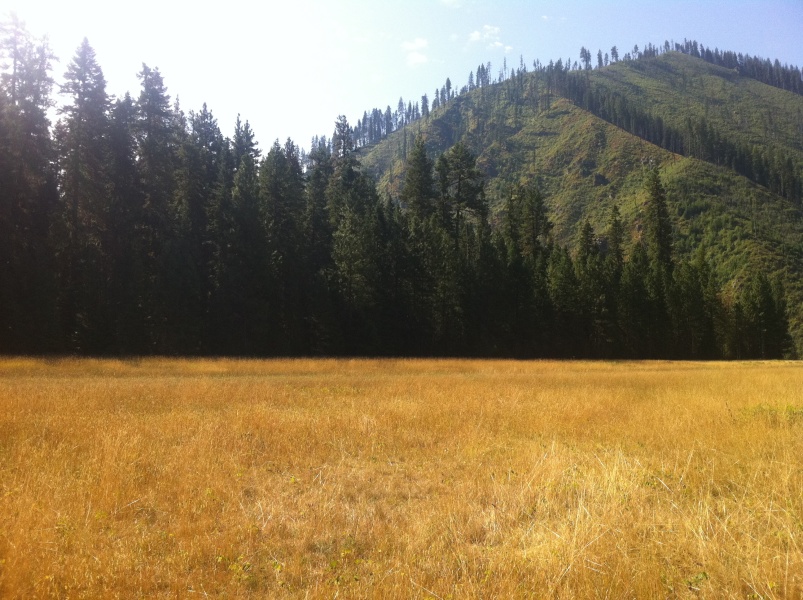 Scaled image Moose Creek clockwise panorama #7.jpg 