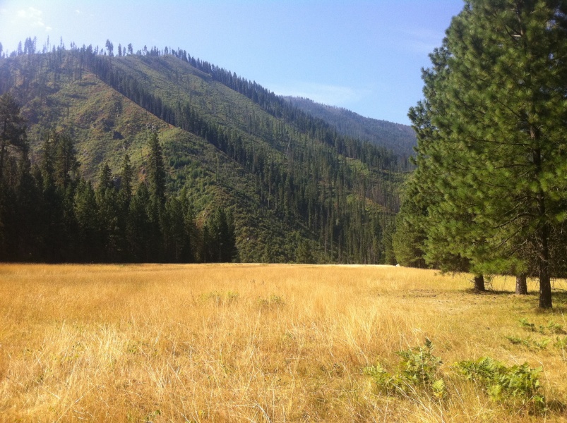 Scaled image Moose Creek clockwise panorama #8.jpg 