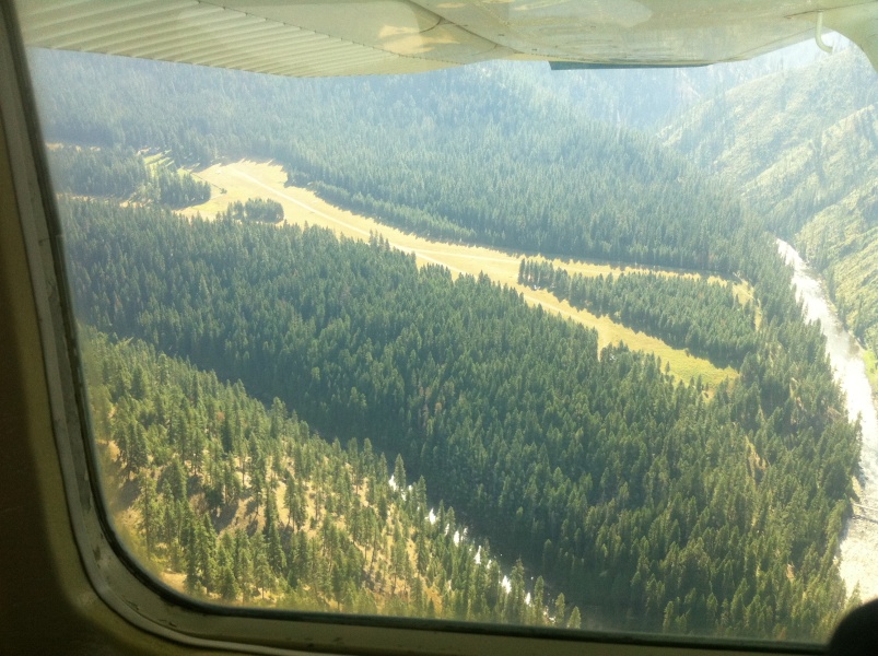 Scaled image Moose Creek with Maule just about reaching treetop altitude US Forest Service built this airstrip for DC-3 aircraft.jpg 