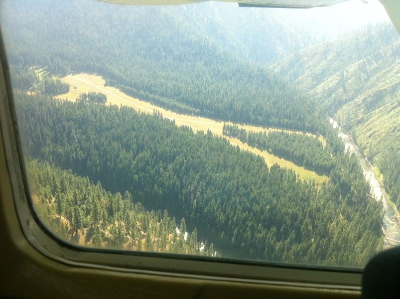 Scaled image Moose Creek with Maule now climbing just past copse.jpg 