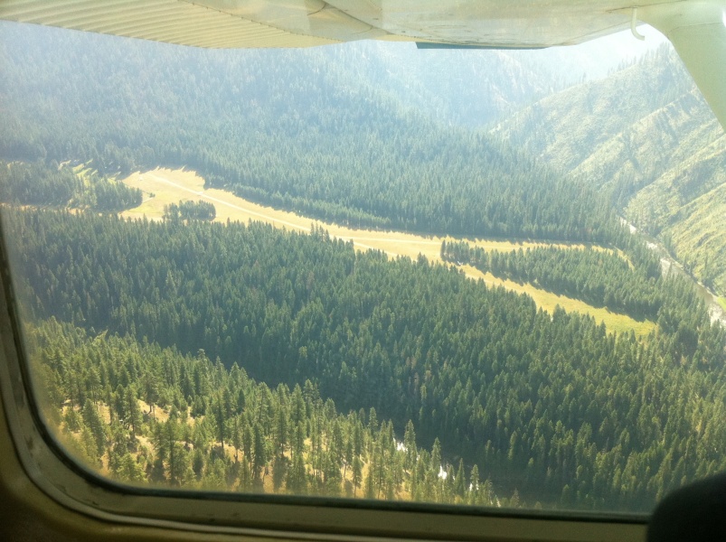 Scaled image Moose Creek with Maule now just airborne by copse between runways 22 and 19 prior to runway intersection).jpg 