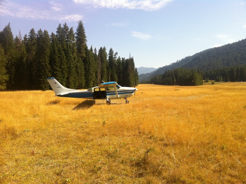 Scaled image N9513G at Moose Creek_ ID looking along runway 01.jpg 