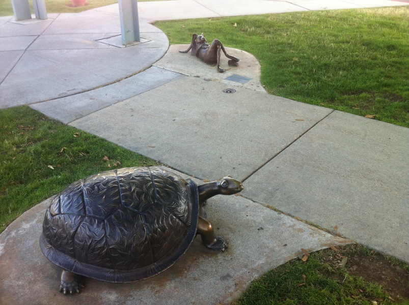 Scaled image Tortoise in Sandpoint_ ID (while riding the SPOT bus around town) ___.jpg 