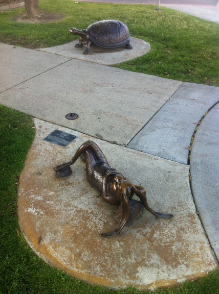 Scaled image ___ and Hare in Sandpoint_ ID.jpg 