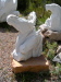 Thumbnail DSCN3383.jpg 