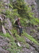 Thumbnail DSCN3393.jpg 