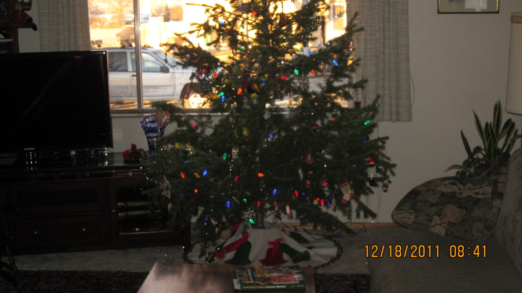 Scaled image img-0862.jpg 