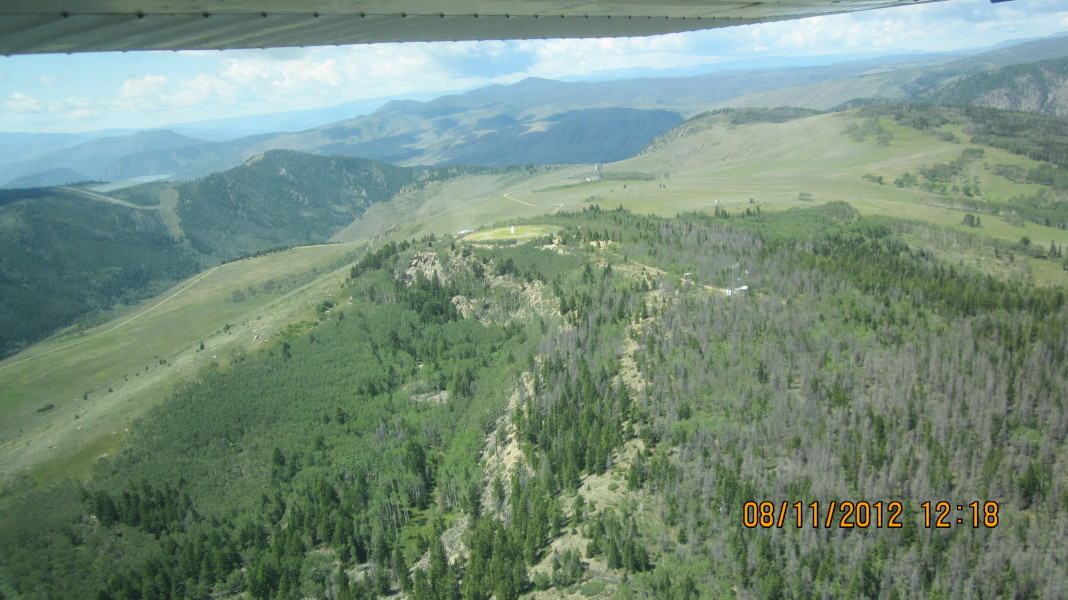 Scaled image 20120811-img-1353.jpg 